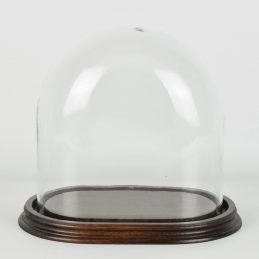 medium-oval-glass-display-dome-with-wooden-base-height-21-cm
