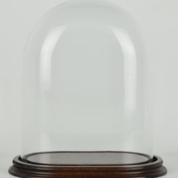 medium-oval-glass-display-dome-with-wooden-base-height-26-cm