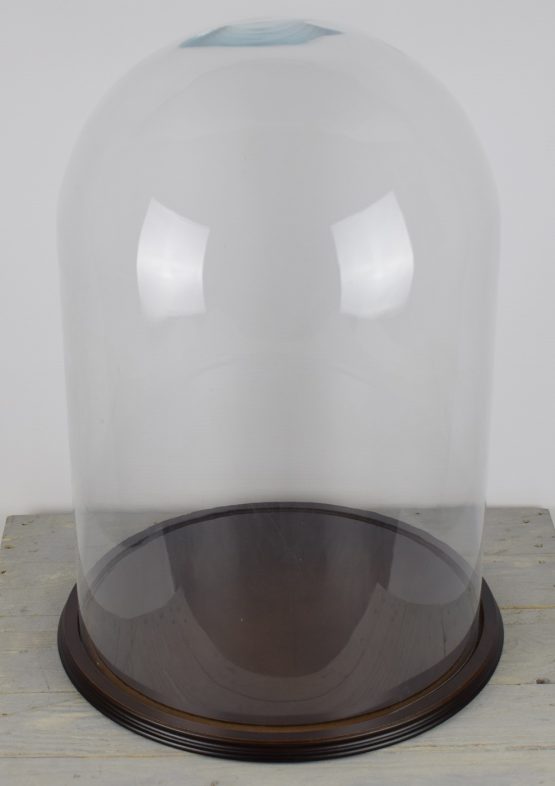 large-glass-display-dome-with-wooden-base-height-61-cm