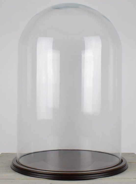 large-glass-display-dome-with-wooden-base-height-61-cm