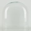 vintage-look-medium-oval-glass-dome-with-wooden-base-height-34-cm