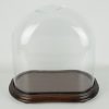vintage-look-medium-oval-glass-dome-with-wooden-base-height-34-cm