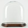 vintage-look-medium-oval-dome-with-wooden-base-height-34-cm