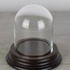 vintage-look-small-glass-display-dome-with-wooden-base-height-10-cm
