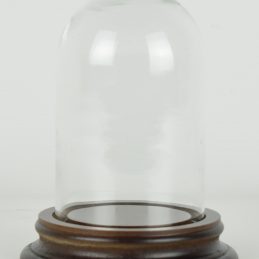 vintage-look-small-glass-dome-with-wooden-base-height-11-5-cm