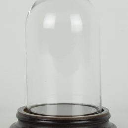 vintage-look-small-glass-dome-with-wooden-base-height-13-5-cm