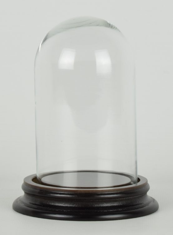 vintage-look-small-glass-dome-with-wooden-base-height-13-5-cm
