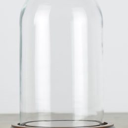 vintage-look-small-glass-dome-with-wooden-base-height-17-cm