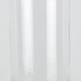 vintage-look-small-glass-dome-with-wooden-base-height-22-cm