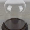 vintage-look-small-glass-dome-with-wooden-base-height-21-cm