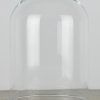 vintage-look-small-glass-dome-with-wooden-base-height-21-cm