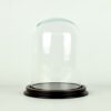 Glass Dome With Wooden Base Vintage Look Small size 21x15 cm