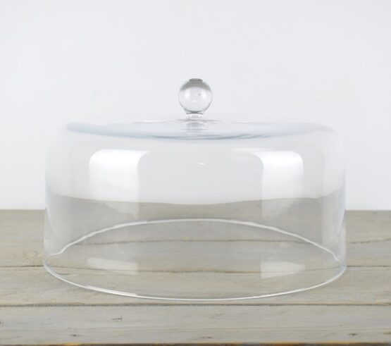 large-display-glass-cake-cupcake-dome-cover-cloche-30-cm-x-18-cm