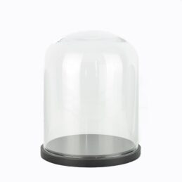 Medium Glass Dome Display Cloche With Black Base 22 cm x 18 cm