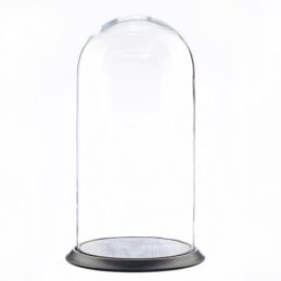 Large Glass Dome Cover Cloche Display With Black VINTAGE Base Height 41.5 x 21 cm