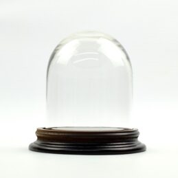 vintage-look-small-glass-dome-with-wooden-base-height-11-5-x-8-5-cm