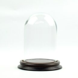 vintage-look-small-glass-dome-with-wooden-base-height-11-5-x-8-5-cm