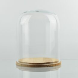 medium-glass-dome-display-cloche-with-natural-base-22-cm-x-18-cm