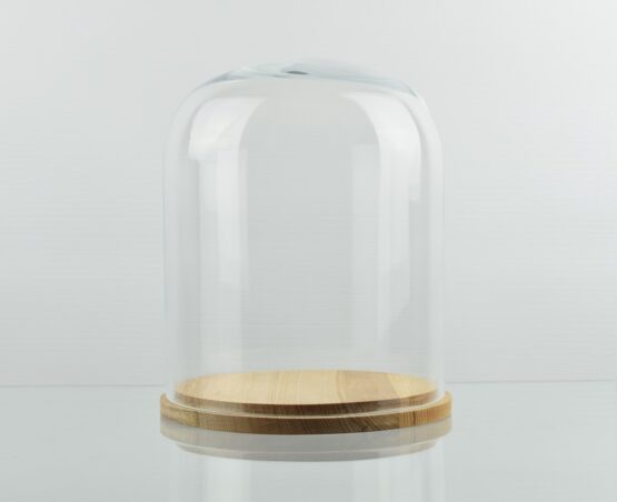 medium-glass-dome-display-cloche-with-natural-base-22-cm-x-18-cm