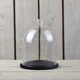 SB014B KNOB