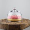 EMH Handmade Glass Display Cover Cloche Bell Dome With Knob Tall 9 cm x 10.5 cm