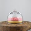 EMH Handmade Glass Display Cover Cloche Bell Dome With Knob Tall 9 cm x 10.5 cm