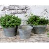 planter-with-handle-set-of-3-by-chic-antique