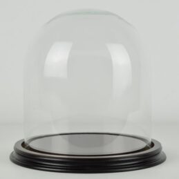 vintage-look-small-glass-dome-with-wooden-base-height-13-x-13-cm
