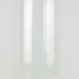 vintage-look-glass-dome-with-wooden-base-height-50-cm-x-19-cm