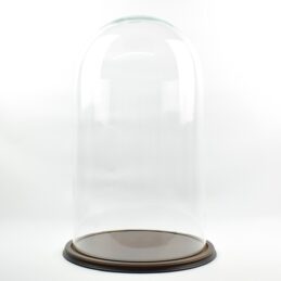 vintage-look-glass-dome-with-wooden-base-height-70-cm-x-39-5-cm