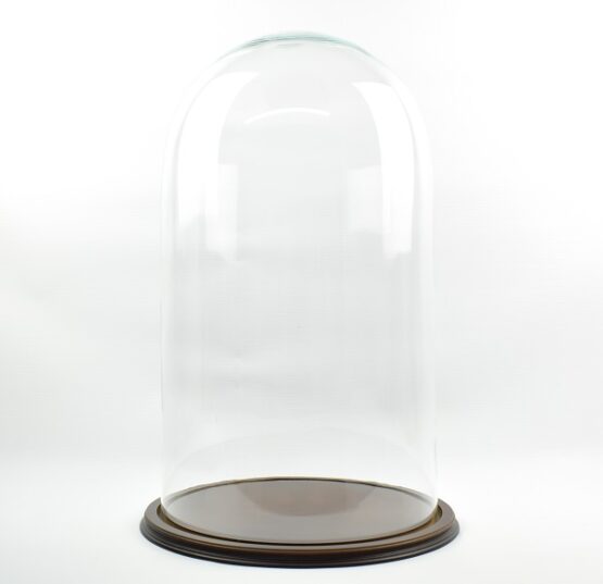 vintage-look-glass-dome-with-wooden-base-height-70-cm-x-39-5-cm