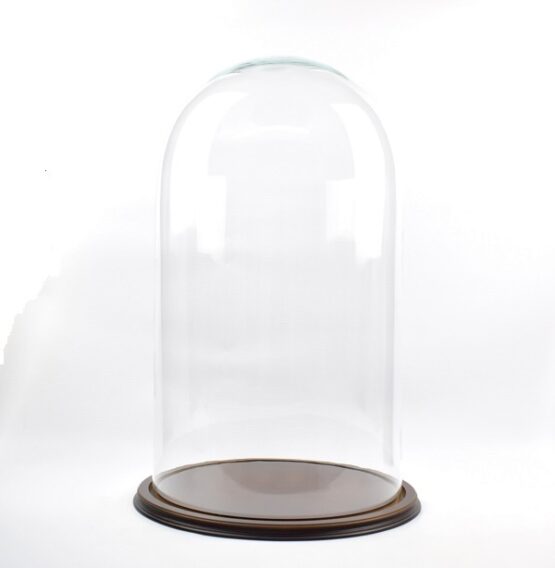vintage-look-glass-dome-with-wooden-base-height-70-cm-x-39-5-cm