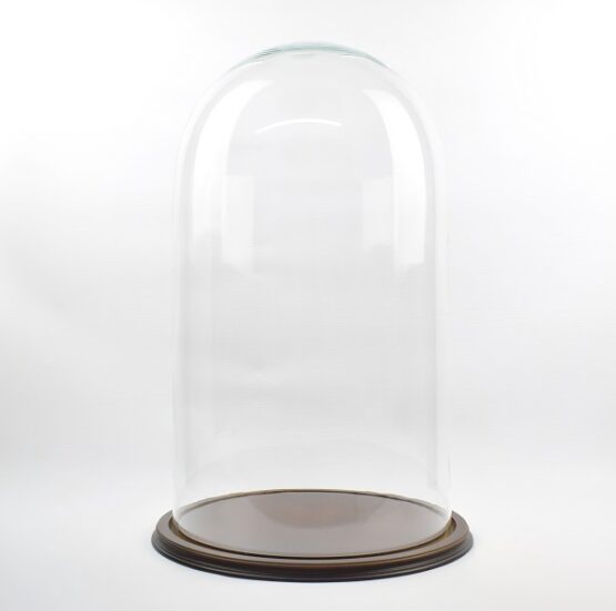 vintage-look-glass-dome-with-wooden-base-height-70-cm-x-39-5-cm