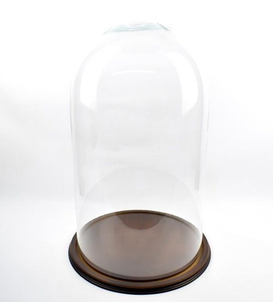 vintage-look-glass-dome-with-wooden-base-height-70-cm-x-39-5-cm