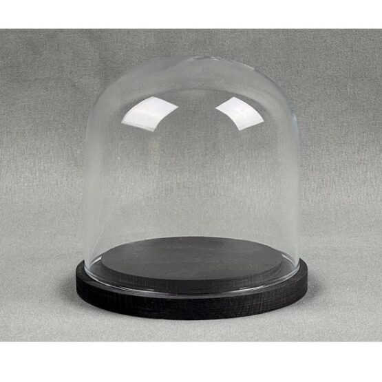 emh-small-glass-dome-display-cloche-black-wooden-base-10-x-10-cm
