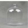 emh-small-glass-dome-display-cloche-height-with-knob-11-5-x-10-cm