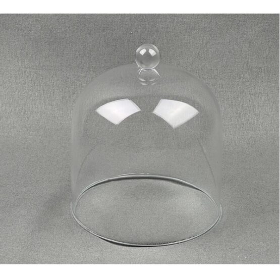emh-small-glass-dome-display-cloche-height-with-knob-11-5-x-10-cm