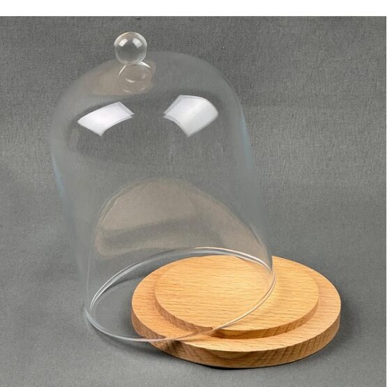 emh-small-glass-dome-display-cloche-with-knob-and-natural-wooden-base-15-5-x-10-cm