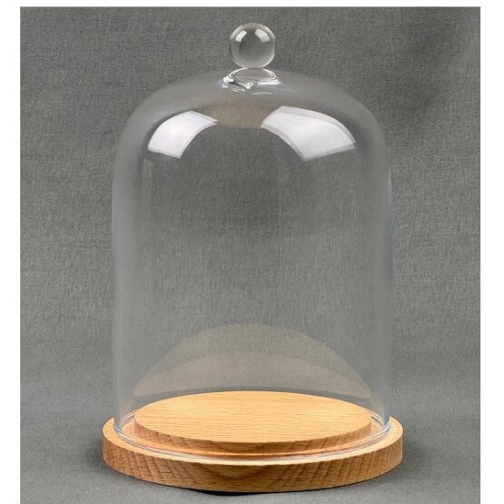 emh-small-glass-dome-display-cloche-with-knob-and-natural-wooden-base-15-5-x-10-cm