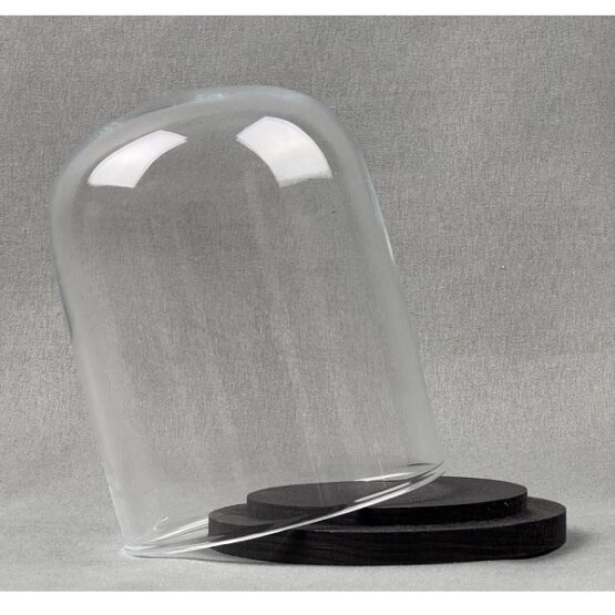 emh-small-glass-dome-display-cloche-black-wooden-base-13-x-10-cm