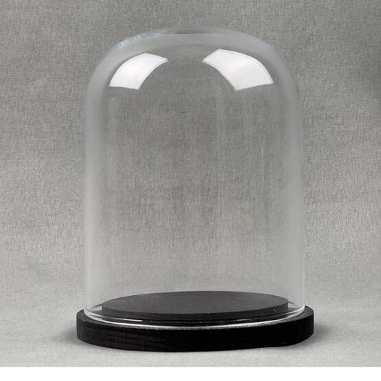 emh-small-glass-dome-display-cloche-black-wooden-base-13-x-10-cm