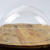 low-profile-glass-dome-cloche-h14-cm-x-25-cm
