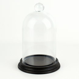 glass-display-dome-with-beech-wood-vintage-base-black-h17-5-cm-x-d10-5-cm