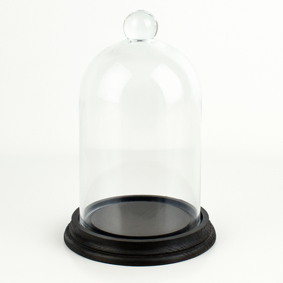 glass-display-dome-with-beech-wood-vintage-base-black-h17-5-cm-x-d10-5-cm