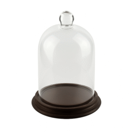 glass-display-dome-with-beech-wood-vintage-base-brown-h17-5-cm-x-d10-5-cm