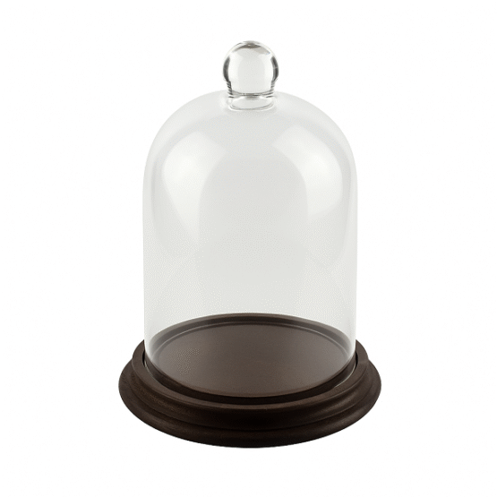 glass-display-dome-with-beech-wood-vintage-base-brown-h17-5-cm-x-d10-5-cm