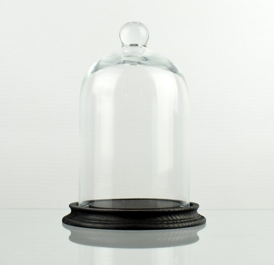 glass-display-dome-with-beech-wood-vintage-base-black-h17-5-cm-x-d10-5-cm