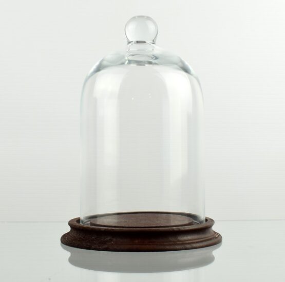 glass-display-dome-with-beech-wood-vintage-base-brown-h17-5-cm-x-d10-5-cm