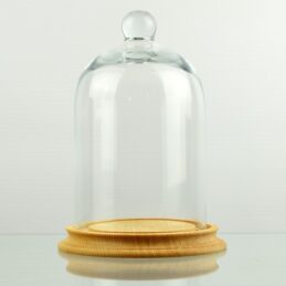 glass-display-dome-with-beech-wood-vintage-base-natural-h17-5-cm-x-d10-5-cm