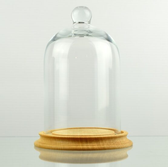 glass-display-dome-with-beech-wood-vintage-base-natural-h17-5-cm-x-d10-5-cm